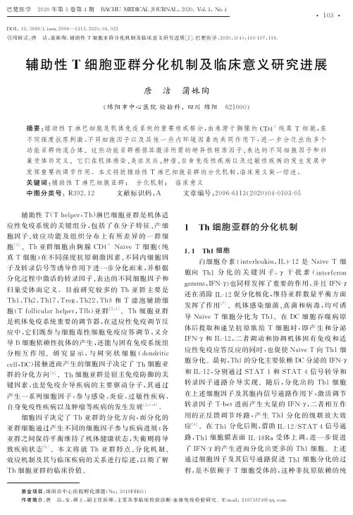 辅助性T细胞亚群分化机制及临床意义研究进展