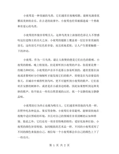小夜莺作文范文