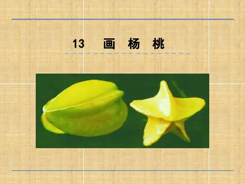 人教部编版语文《画杨桃》PPT课件完美4