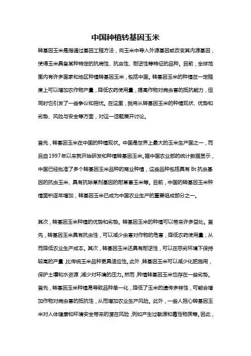 中国种植转基因玉米