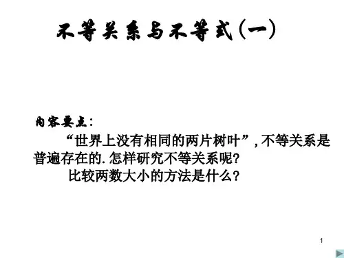 不等关系与不等式ppt优秀课件