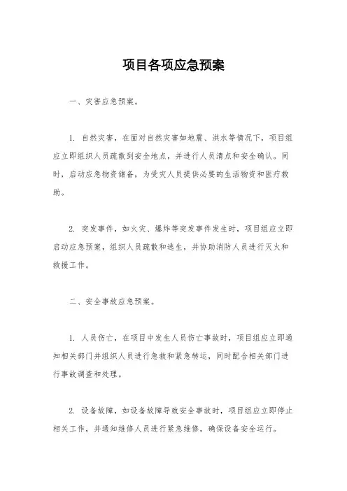 项目各项应急预案