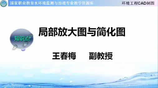 局部放大图和简化视图.
