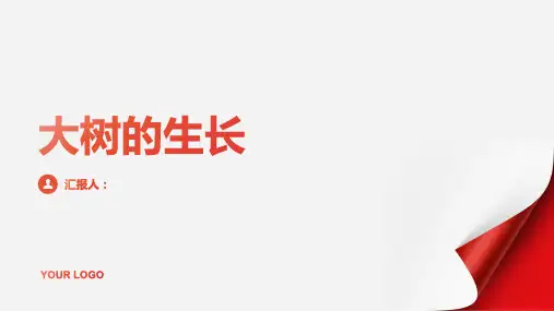大树的生长中班教案(通用)ppt精品模板分享(带动画)