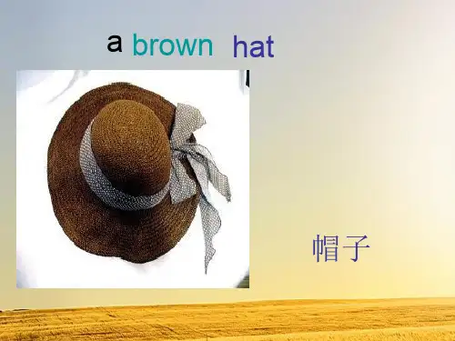 外研版(三起)(2012)小学英语三年级下册Module 10 Unit 1 Heres a re