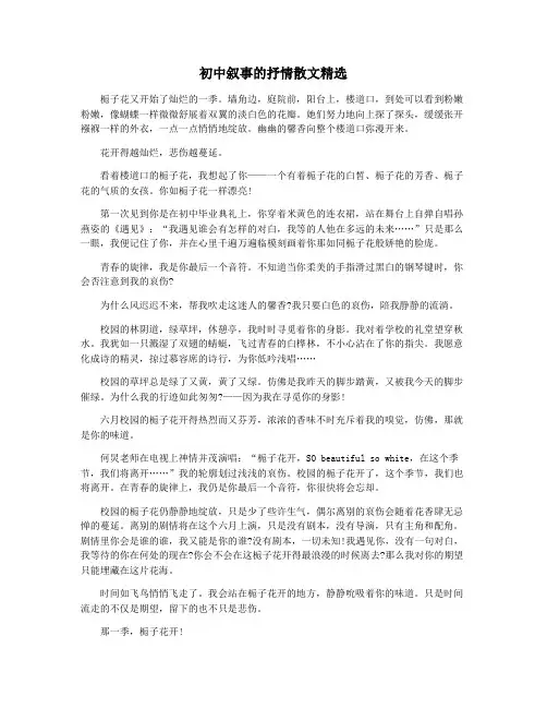 初中叙事的抒情散文精选