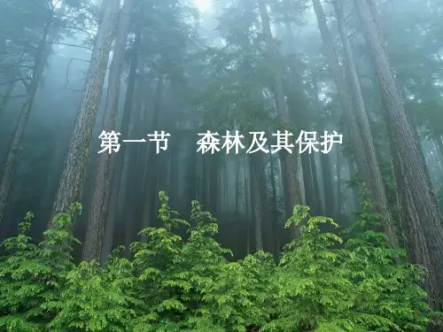 课件6：4.1 森林及其保护