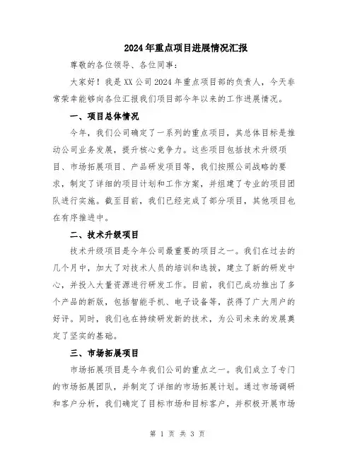 2024年重点项目进展情况汇报