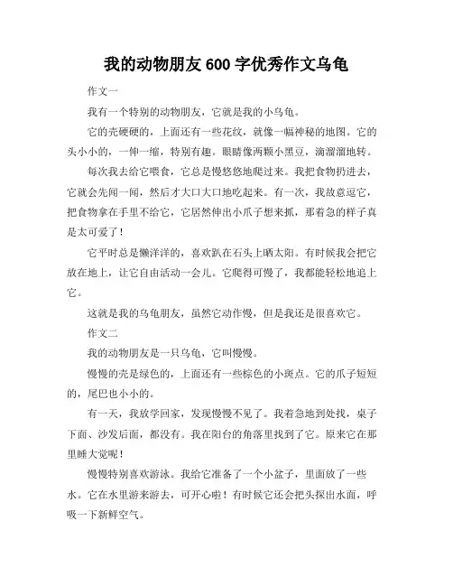 我的动物朋友600字优秀作文乌龟
