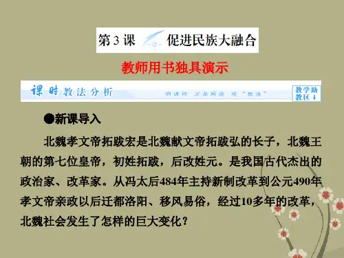 (教师用书)高中历史 第三单元 第3课 促进民族大融合同步备课课件 新人教版选修1