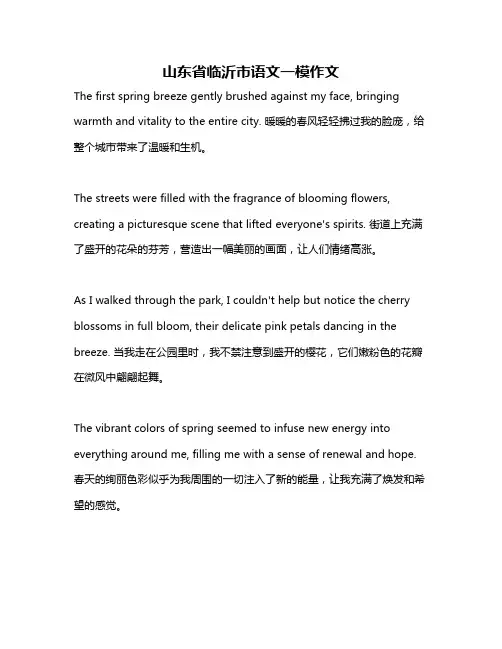 山东省临沂市语文一模作文