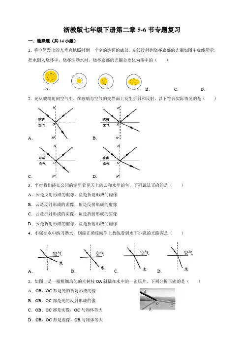 浙教版科学 七年级下册第二章 对环境的感觉 5-6节 专题复习  练习题