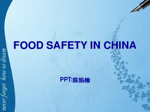 中国食品安全问题_英语PPT