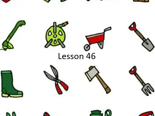 新概念4 Lesson 46