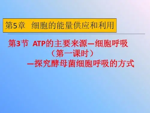 高中生物必修一第5章《探究酵母菌细胞呼吸的方式》课件
