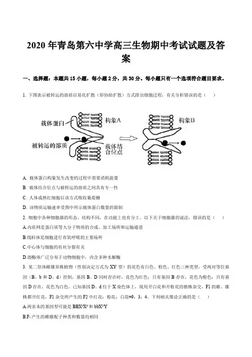 2020年青岛第六中学高三生物期中考试试题及答案