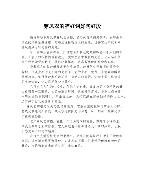 穿风衣的猫好词好句好段
