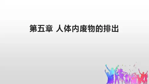 《人体内废物的排出》PPT教学课件