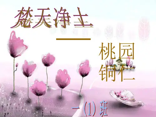 梵天净土  桃园铜仁 ppt
