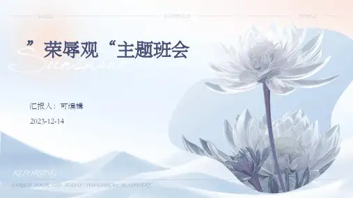 ”荣辱观“主题班会