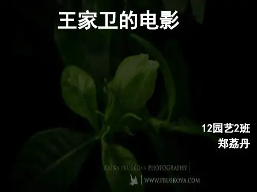 春光映画王家卫.ppt