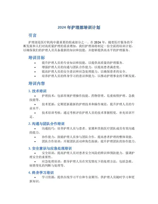 2024年护理部培训计划