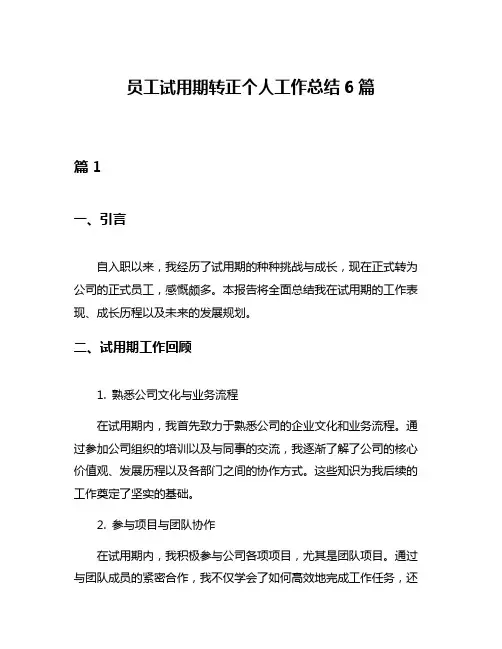 员工试用期转正个人工作总结6篇