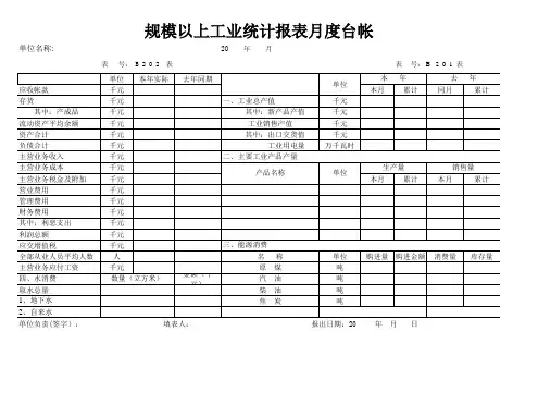 工业经济报表样表(台帐)