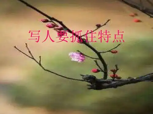 《写人要抓住特点》ppt