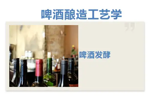 啤酒酿造工艺学(啤酒发酵)