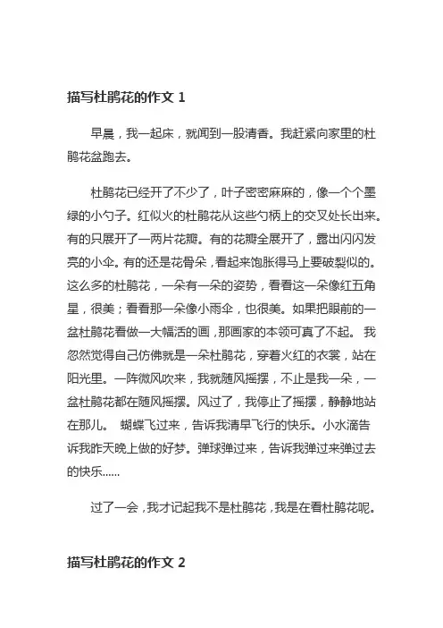 杜鹃花描写外貌和形状作文三年级