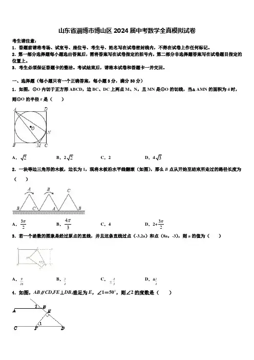 山东省淄博市博山区2024届中考数学全真模拟试卷含解析
