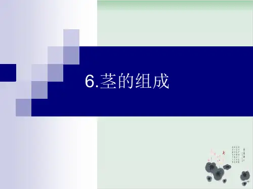 四年级上册科学课件-6茎的组成-首师大版(共9张PPT)