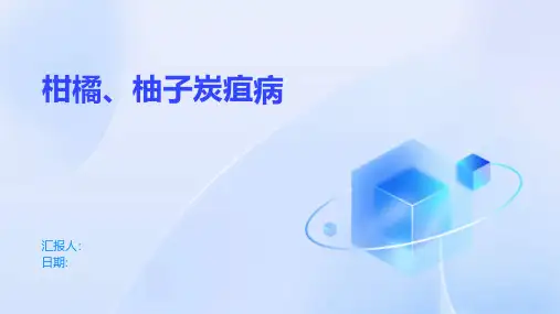 柑橘、柚子炭疽病