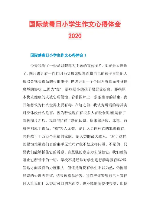 国际禁毒日小学生作文心得体会2020