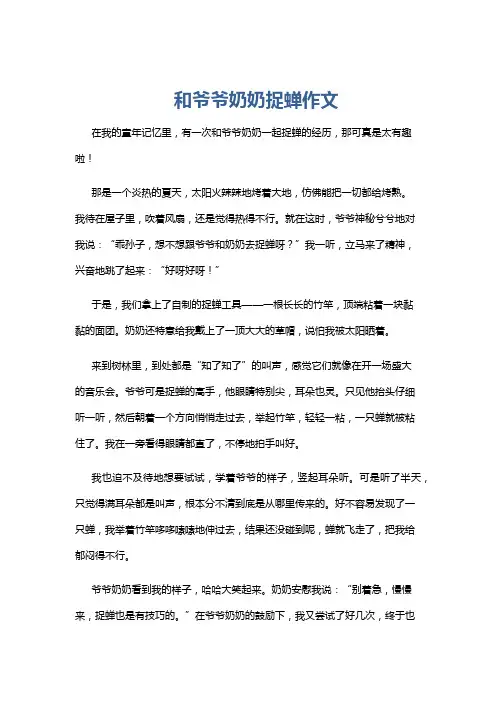 和爷爷奶奶捉蝉作文