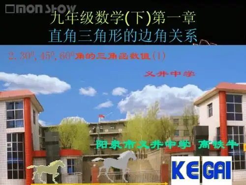 北师大版九年级下册1.2 30度、45度、60度角的三角函数值课件PPT