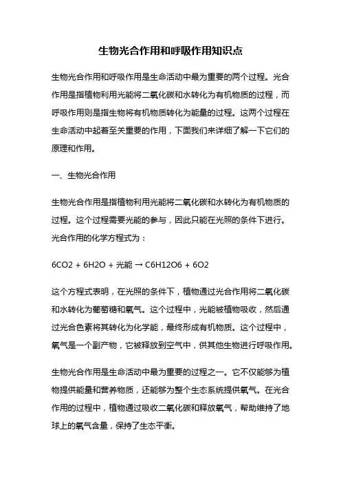 生物光合作用和呼吸作用知识点