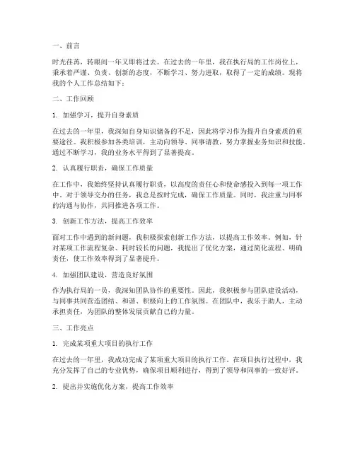执行局个人工作总结新
