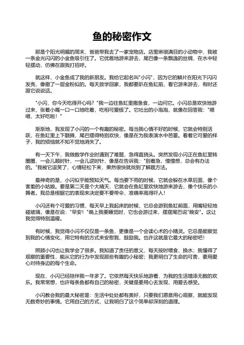 鱼的秘密作文