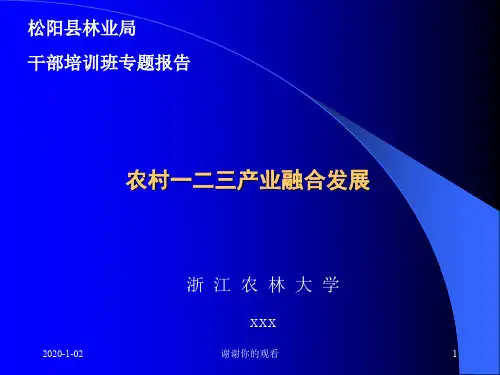 农村一二三产业融合发展.ppt