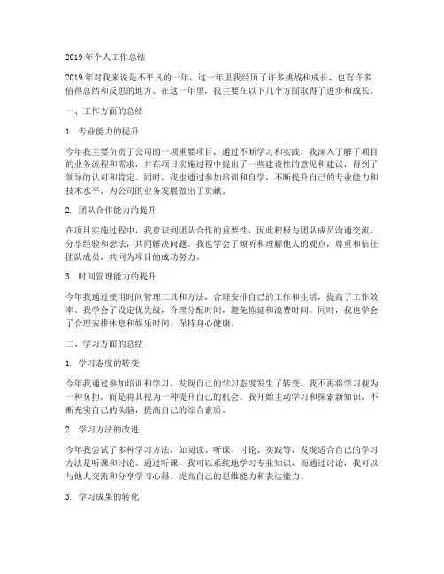 2o19个人工作总结