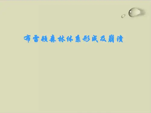 布雷顿森林体系形成及崩溃研讨PPT课件( 12张)