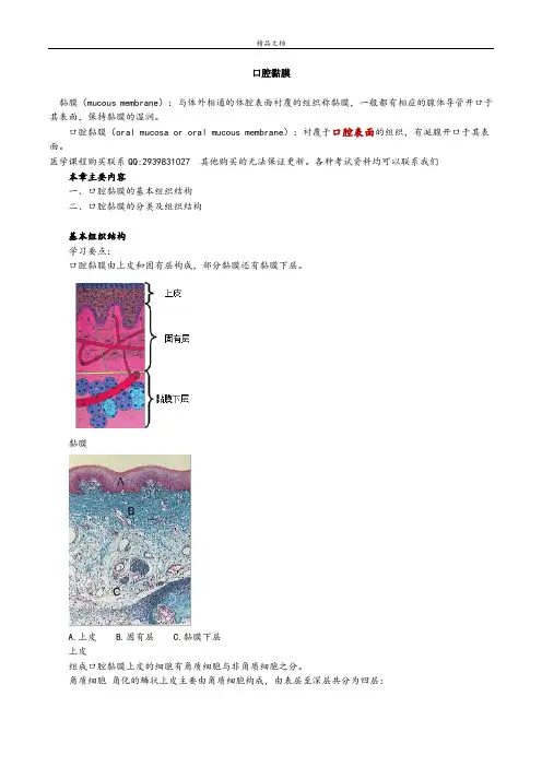 口腔黏膜 (1)