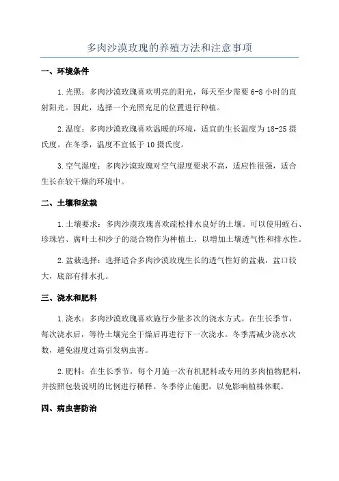 多肉沙漠玫瑰的养殖方法和注意事项