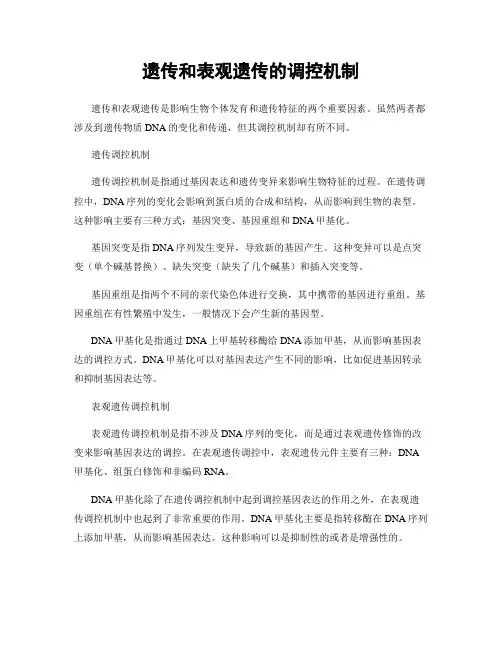 遗传和表观遗传的调控机制