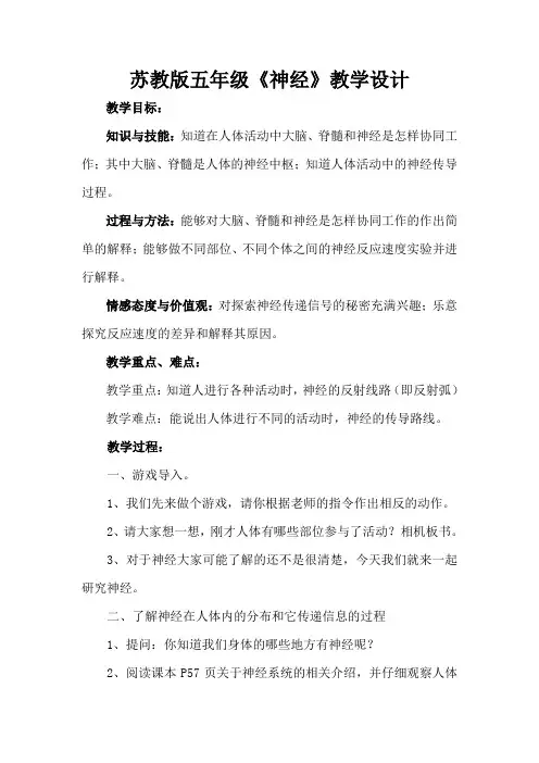 苏教版五年级《神经》教学设计