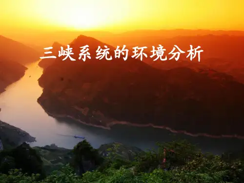 三峡系统的环境分析