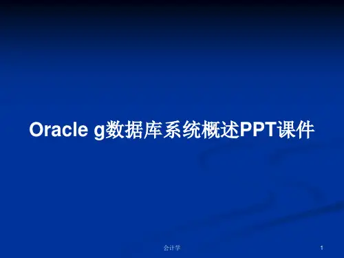 Oracle g数据库系统概述PPT学习教案