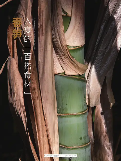 春笋_入宴的「百搭食材」